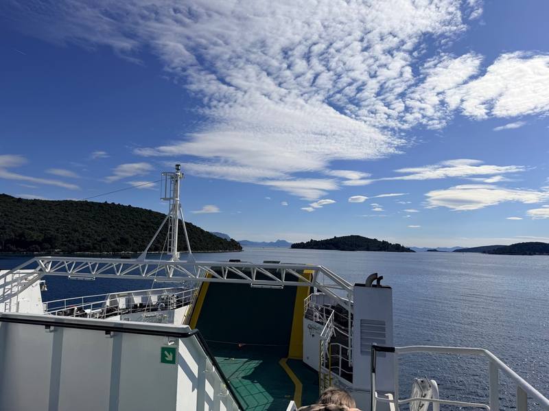 Výhled s olivovníky