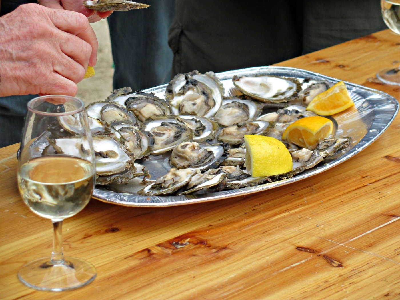 oysters oysters