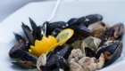 mussels-shells