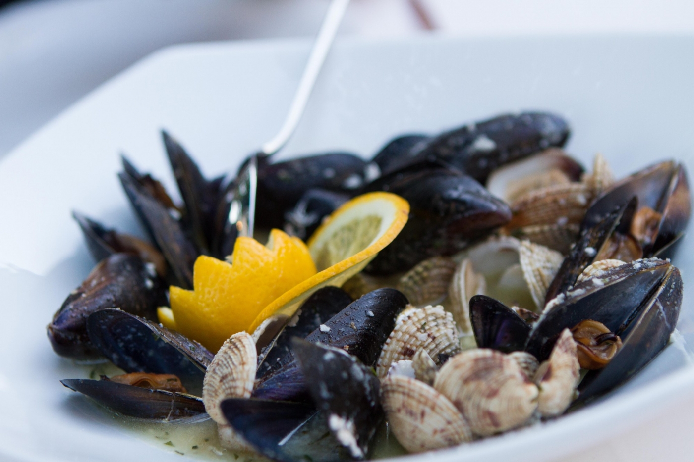 mussels-shells mussels-shells